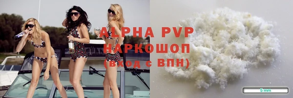 индика Вязьма