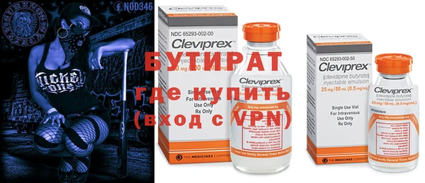 индика Вязьма