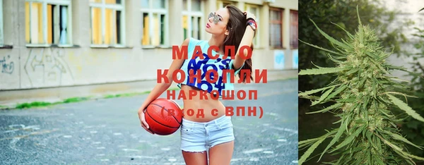индика Вязьма