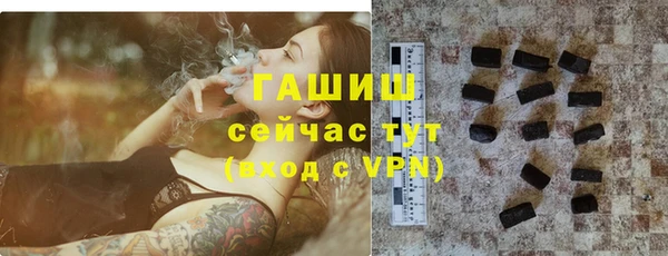 индика Вязьма