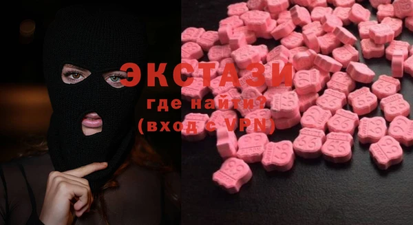 индика Вязьма