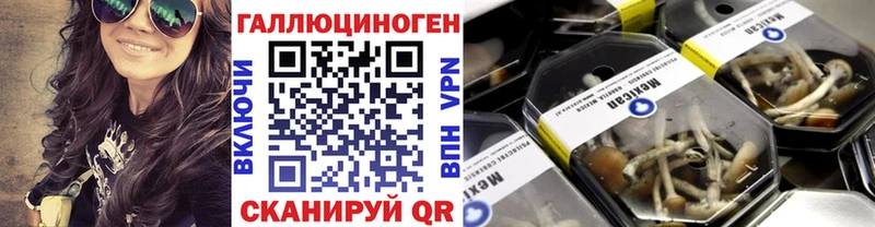 shop Telegram  Дзержинский  Галлюциногенные грибы мухоморы  продажа наркотиков 