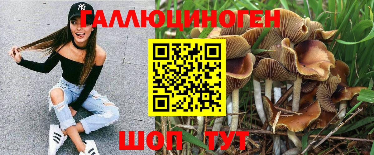 Галлюциногенные грибы Magic Shrooms Дзержинский